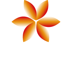 vessel hotels